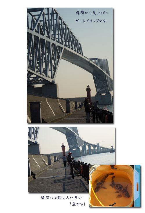 孫の所へ & ゲートブリッジ_c0051105_121180.jpg