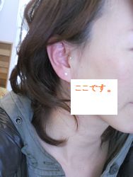 耳つぼジュエリー_f0218407_1656317.jpg