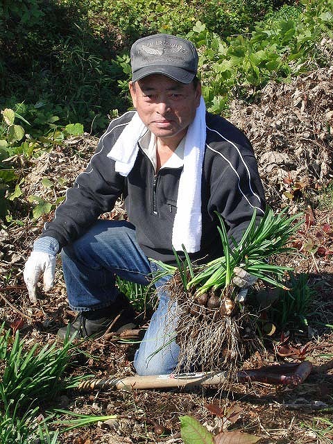 今年の滝川 川普請(かわぶしん)の目標 「ヒガンバナの里親づくり」_f0141310_638031.jpg