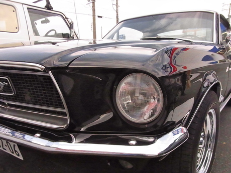Mustang_d0179518_19545833.jpg