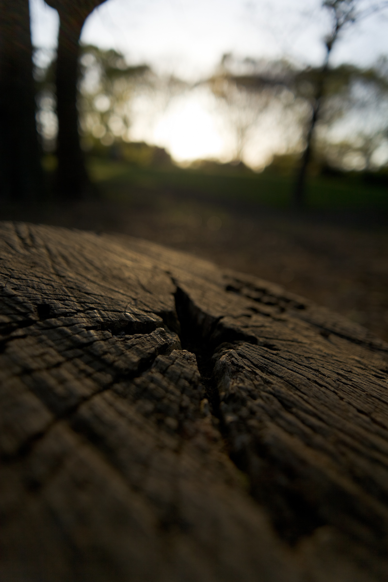 【作例大放出】VOIGTLANDER COLOR-SKOPAR 20mm F3.5 SL II ASPHERICAL_b0213320_2332221.jpg