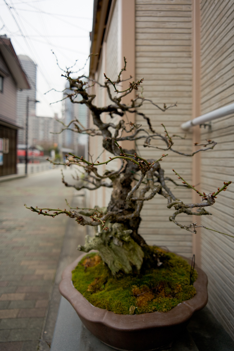 【作例大放出】VOIGTLANDER COLOR-SKOPAR 20mm F3.5 SL II ASPHERICAL_b0213320_23384286.jpg