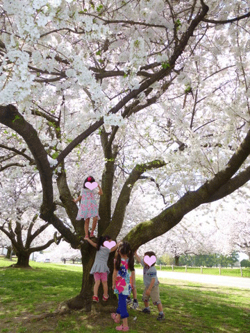 c0151122_1215791.gif