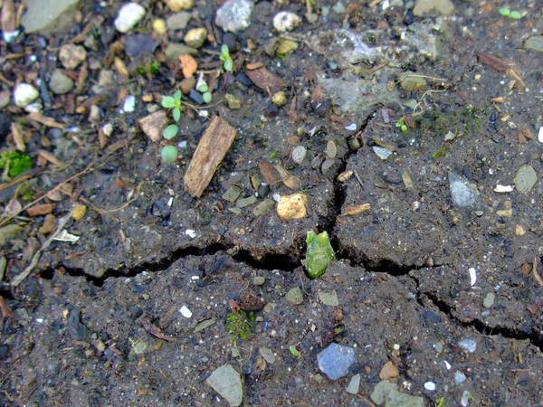 b0132024_2020525.jpg
