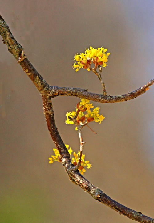 c0104227_9522650.jpg