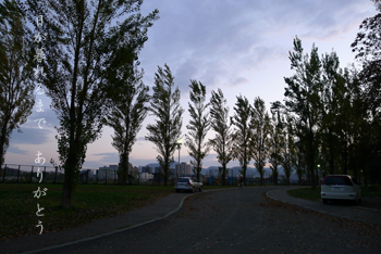 d0042827_22193659.jpg