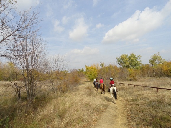 f0238932_16473377.jpg