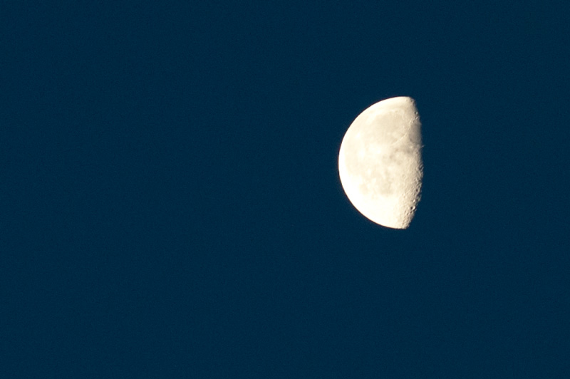 b0177233_5475285.jpg