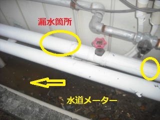 f0031037_22131434.jpg