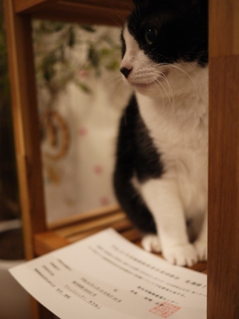 平成23年度熊本市動物取扱責任者研修会。_a0143140_23165538.jpg