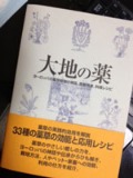 花粉症にネトルのハーブティー_b0239244_1931438.jpg