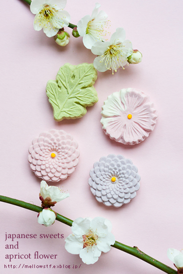 落雁と梅の花・・・。_d0124248_22192571.jpg