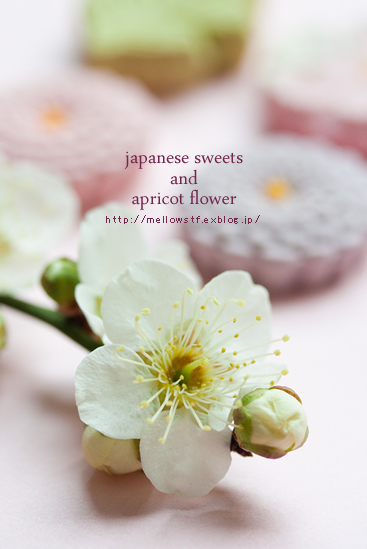 落雁と梅の花・・・。_d0124248_22225897.jpg