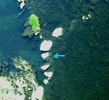 f0234053_1215917.jpg