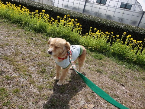 f0046854_22301152.jpg
