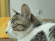 c0052756_23414874.jpg