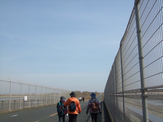 c0111557_2011793.jpg