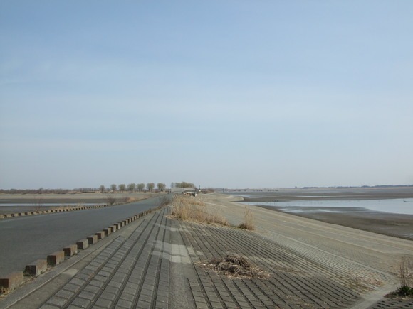 c0111557_20151845.jpg