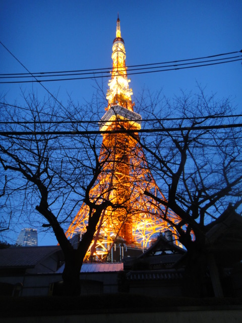 f0036857_913789.jpg