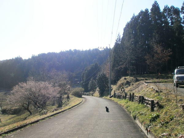 a0174458_03719.jpg