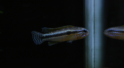 a0162263_218679.jpg