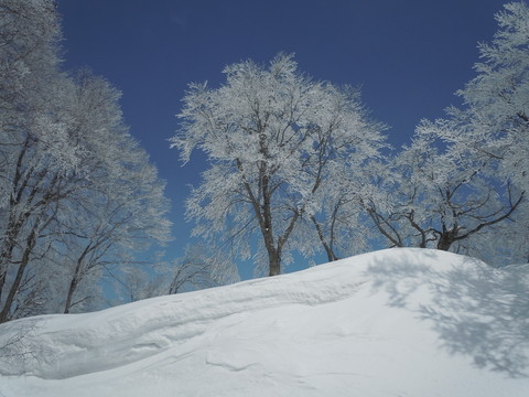 バックカントリースキー　栂池上部へ_f0145963_0186.jpg