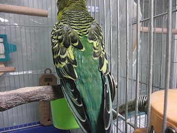 f0196665_2224150.jpg