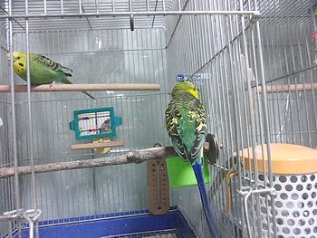 f0196665_2228552.jpg