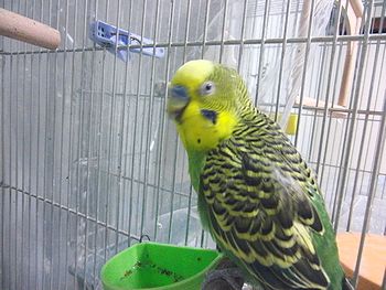 f0196665_22315690.jpg