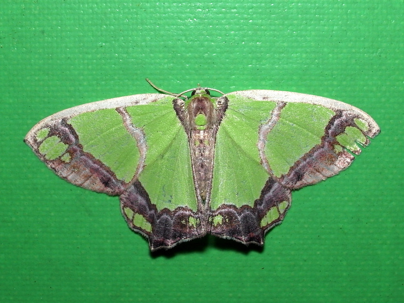 b0130166_2331382.jpg