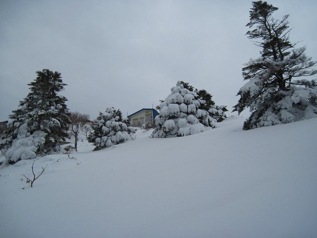 2012.3.16  山スキー剣山_c0219866_18123556.jpg