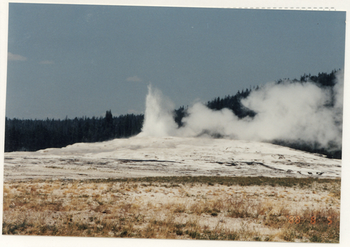 d0193569_9364148.jpg