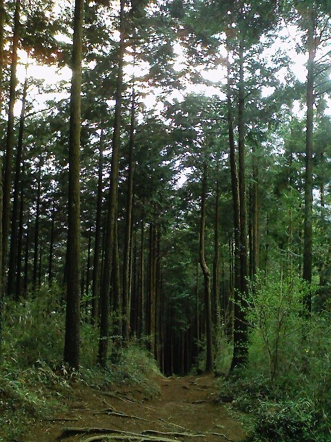 d0233770_0122286.jpg