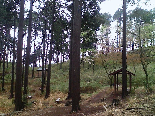 d0233770_07130.jpg