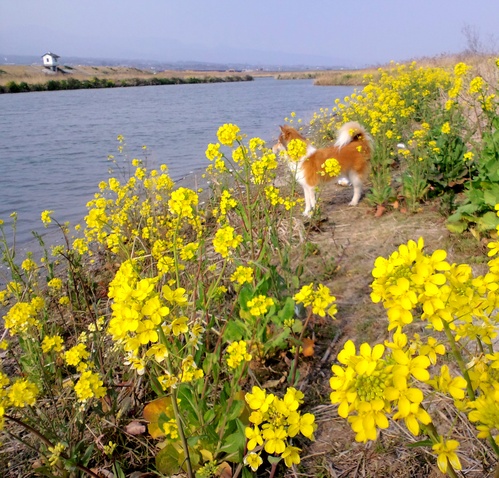 c0069372_22212650.jpg