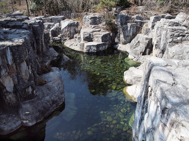 『木曽川水園とハリヨ』_d0054276_20262288.jpg