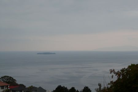 2012年3月16日 カメの日だった_b0098584_2175850.jpg