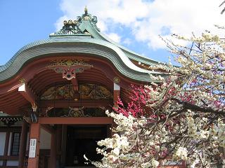 早春の京都・花灯路_d0079685_11143849.jpg