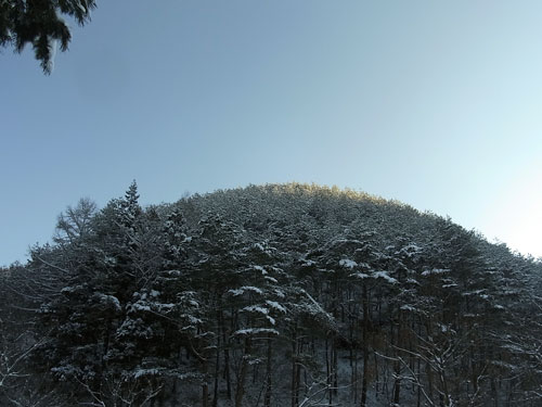 f0236291_10361659.jpg