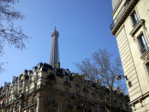 c0090198_4172679.jpg