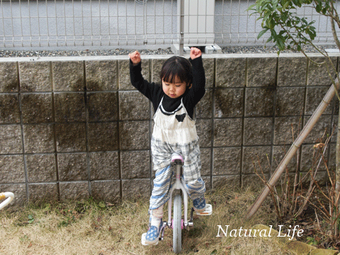 b0162000_221373.gif