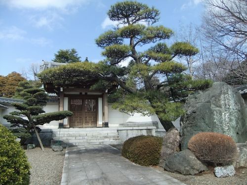 「禅定寺」本堂から垣間見た阿弥陀如来坐像_f0120102_1045710.jpg