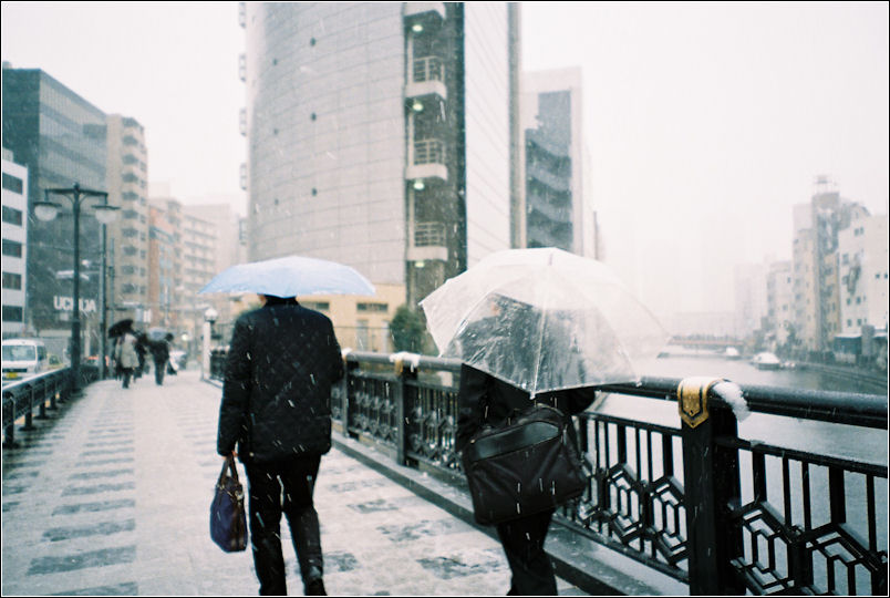 2012.3.2. 『東京・雪の日』_b0120903_12502953.jpg