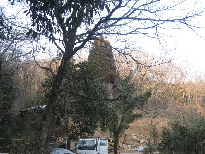 いざ「ぐりんぐりんびれっじ」日田に~♪_a0125419_911262.jpg