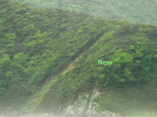 奄美大島☆サーフィン☆ノーバンダリーズ　今日の波情報！_c0160825_1252832.jpg