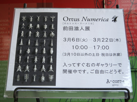 前田滋人展「Ortus Numerica」を観る_c0184125_23133665.jpg