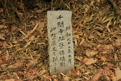 d0055236_12343776.jpg