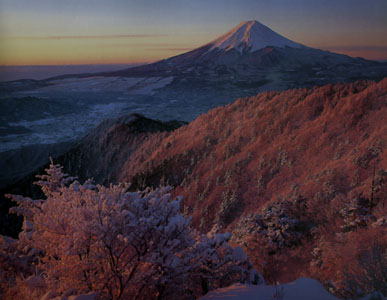d0124643_828159.jpg
