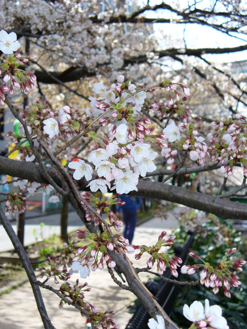 f0231250_132584.jpg