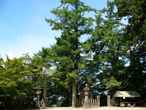 f0231250_1331891.jpg